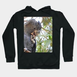 Black Cockatoo Hoodie